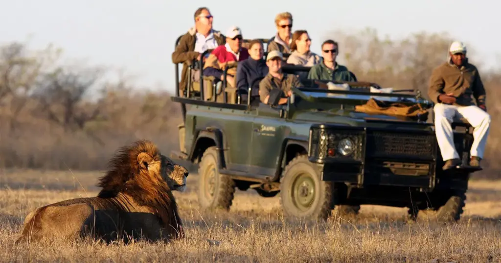 Travel Packages: Safari Adventure in Africa
